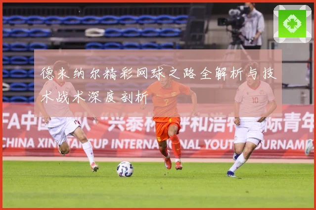 德米纳尔精彩网球之路全解析与技术战术深度剖析